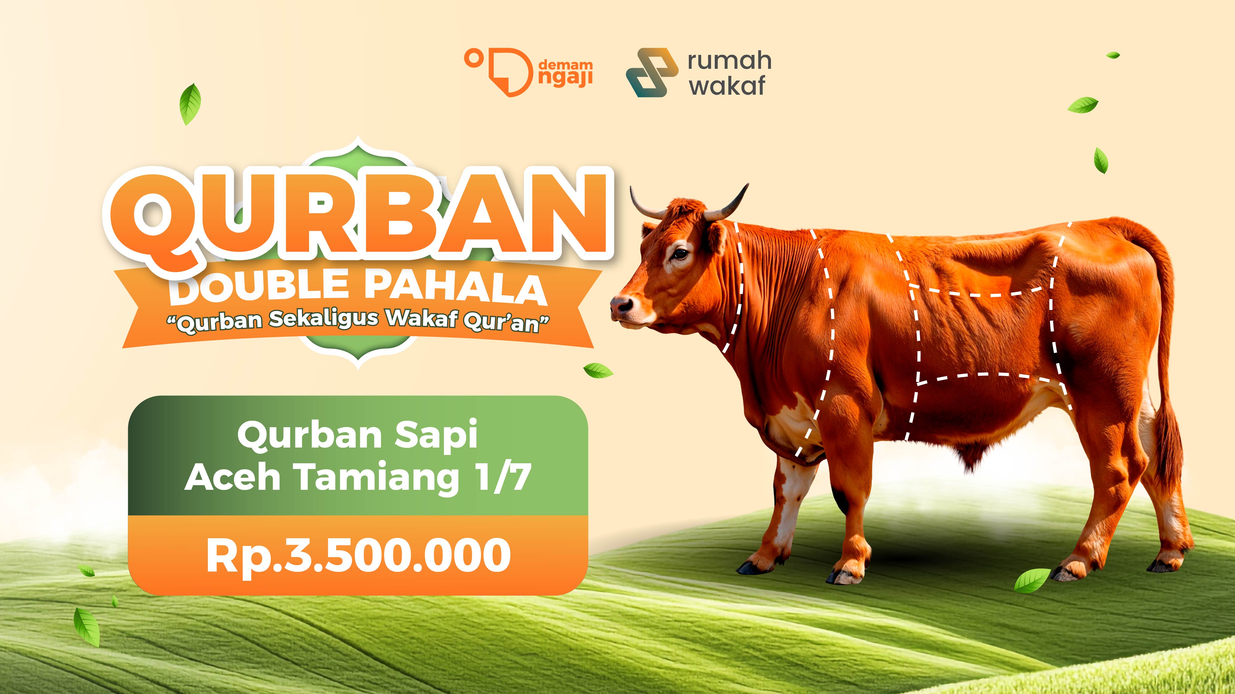 Paket Qurban Sapi Aceh Tamiang