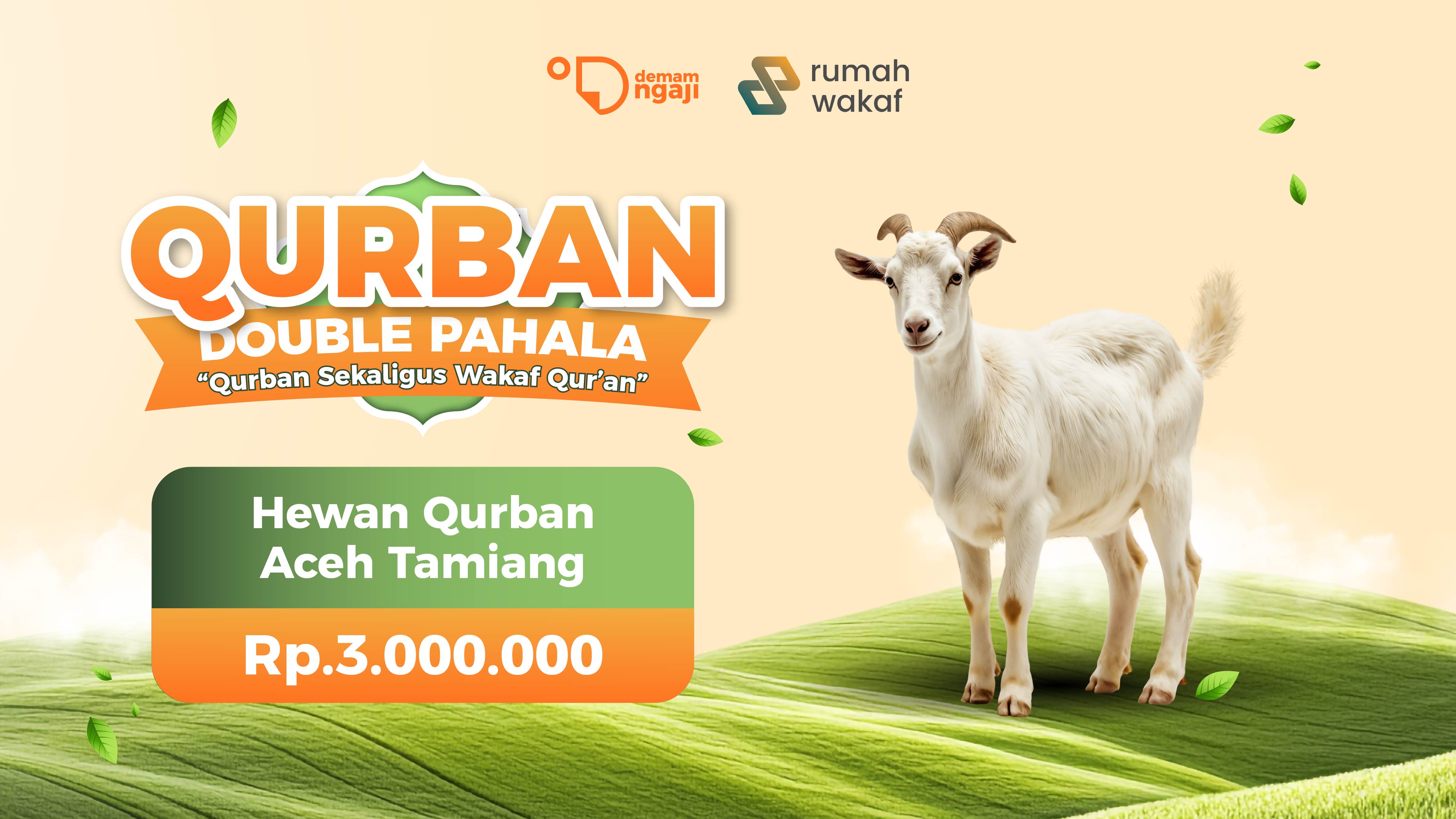 Hewan Qurban Aceh Tamiang